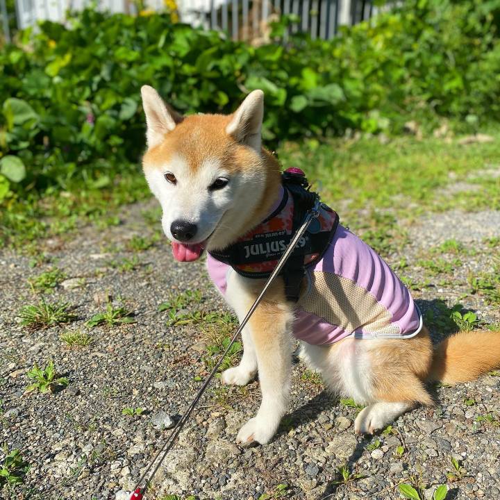 E6c81b2b a096 40ac ac6f b9fa83c585f0 1692756258812