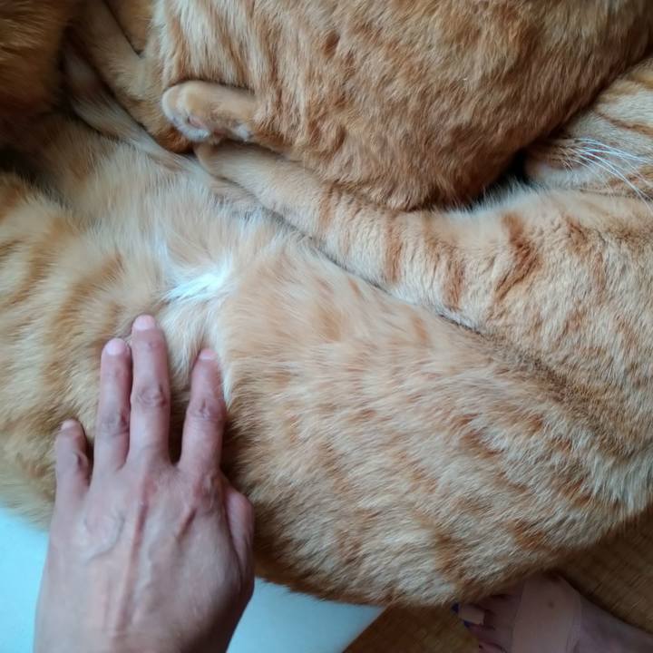 E6c82562 d656 4e43 a6ef 97dbfff39dac 1626159657457