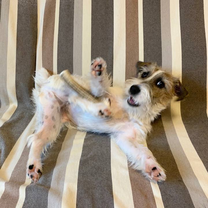 E6c82790 fe78 46ba 833f 19aa70186eed 1575596623371