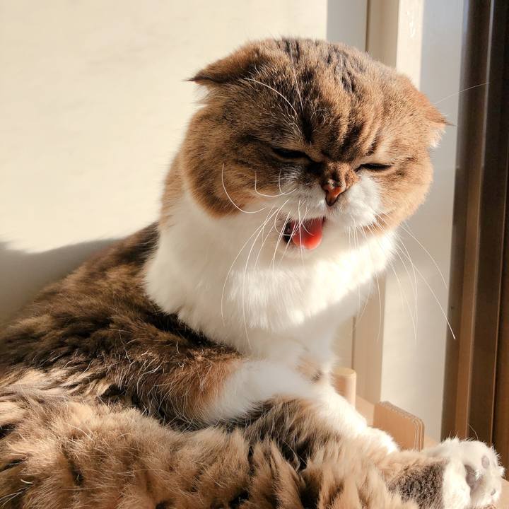 E6c828d2 2397 49ae bd0b deb56ec3f72c 1601418177140