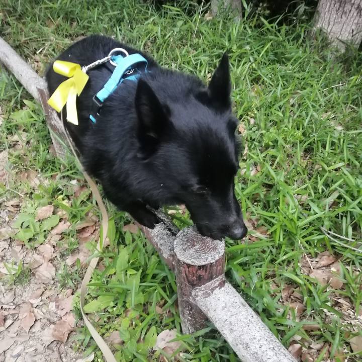 E6c83886 02b9 49ca a2b1 05fed5cea075 1652043875217