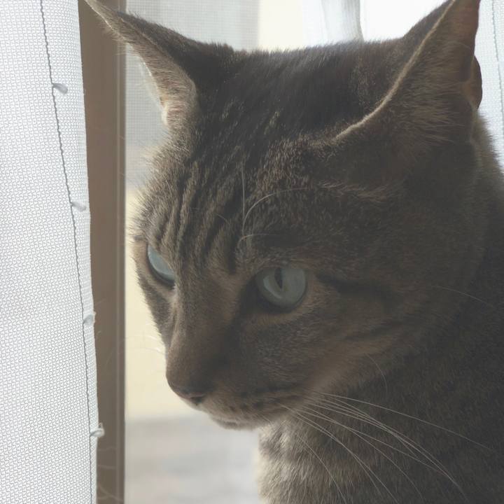 E6c858d3 08ac 430c 9cd0 756b59169eb9 1548293040154