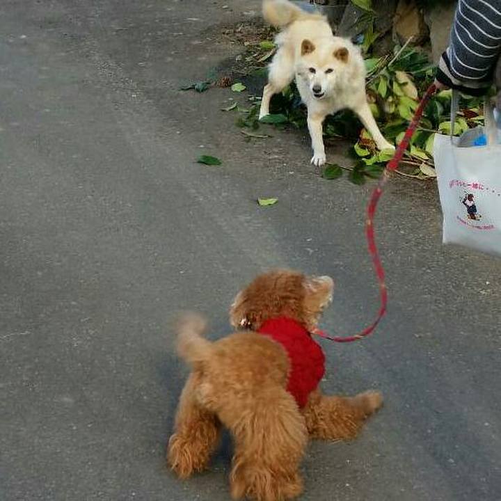 E6c8984b 8d74 4a85 9e24 3b280cd01b3e 1514797385006