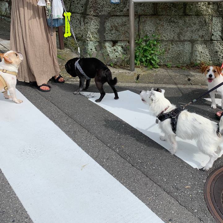 E6c90a45 a6b9 4168 827c 644bb9f54a4c 1719706165013