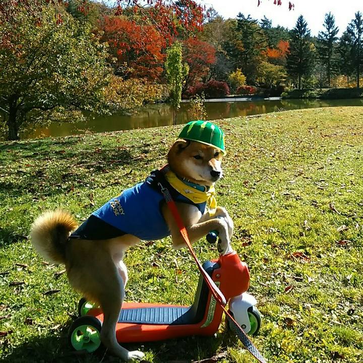 E6c947ed 1384 41ba a392 03bc8de416dc 1540782018316