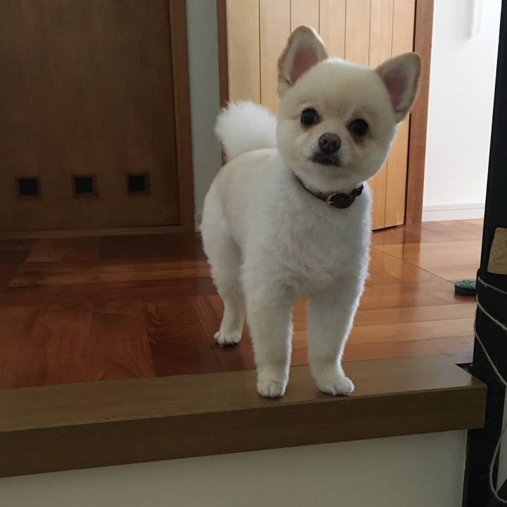 E6c97339 e461 4858 bfab 02449a7a6f4d 1529623400108