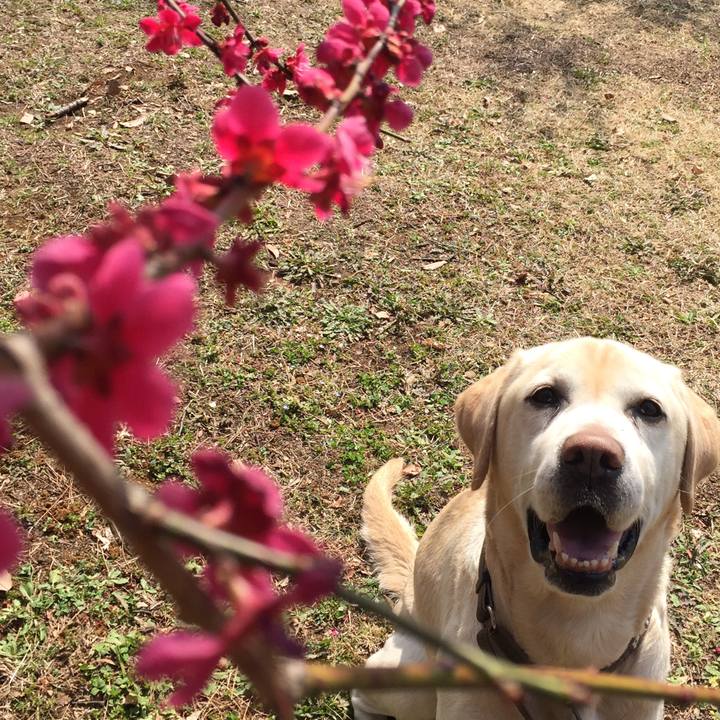 E6c974f1 2908 430b 8429 ad6c362c0dd8 1520927530611