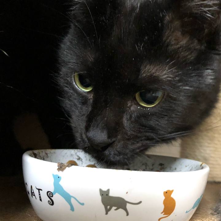 E6c97609 3968 43ef a575 517b8b6c2f88 1583754572261