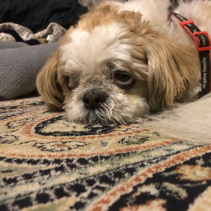 E6c984e2 d0bd 444c 948f 0cf24e4a5492 1618437275999