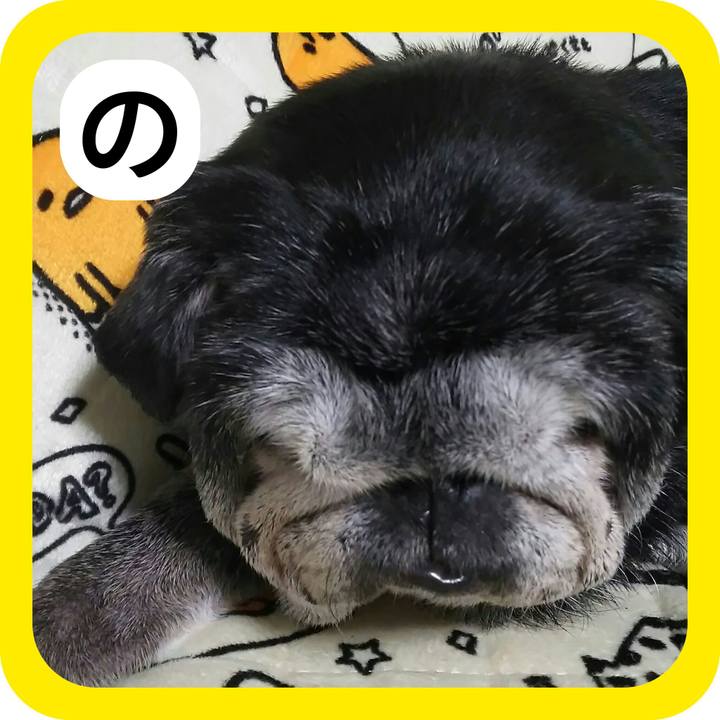 E6c9d7ba 46da 4e22 822b bea0939cb2d9 1514873669149