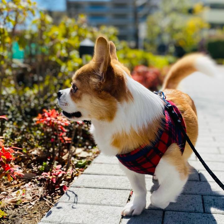 E6ca07cd 7973 419e ae6b b1c50da2e0d3 1615882708027