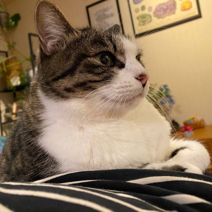 E6ca28bd 58a4 45cb b732 73ac2afd69cf 1579838449295