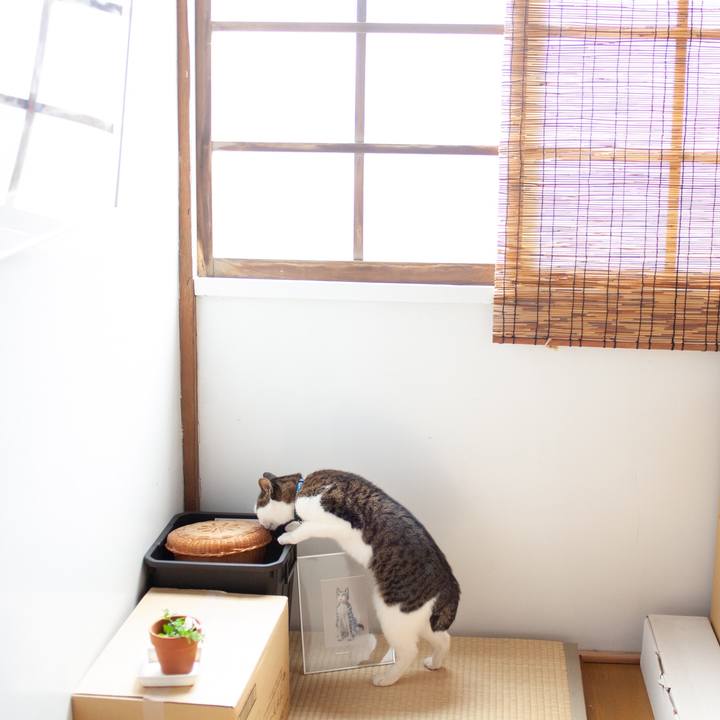 E6ca4f59 a1f4 45f6 9efd 2c1cbd9243c3 1549941652211