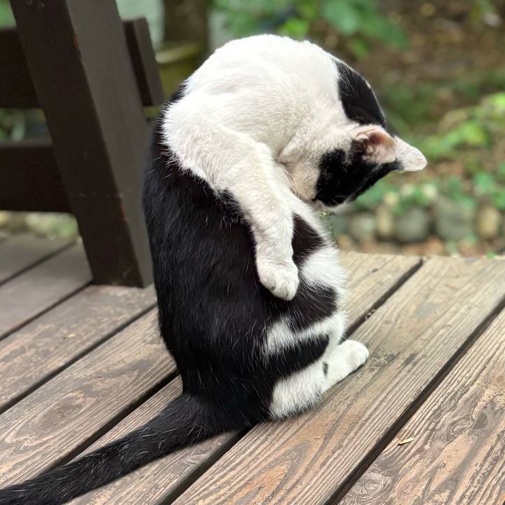 E6ca5542 cf9a 4fe6 92a0 7b3d6e287a38 1759817330682