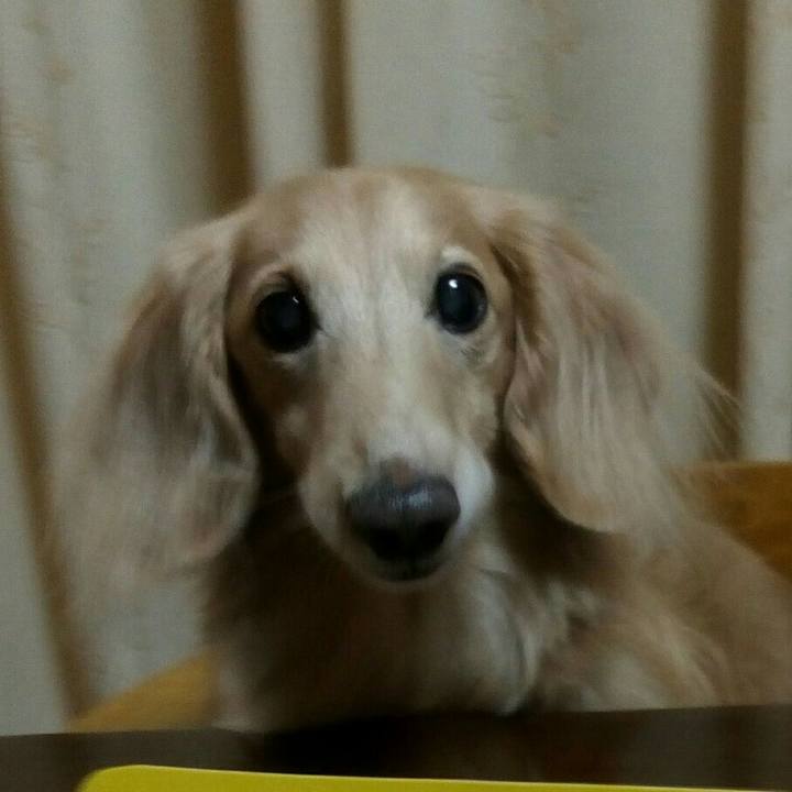 E6ca6303 5329 4ec5 8510 a22a73a5df0e 1577706725828