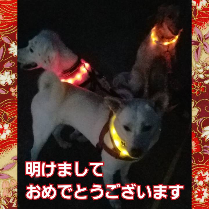 E6ca65b2 2cf2 4643 af98 d821468f3fab 1609493413565