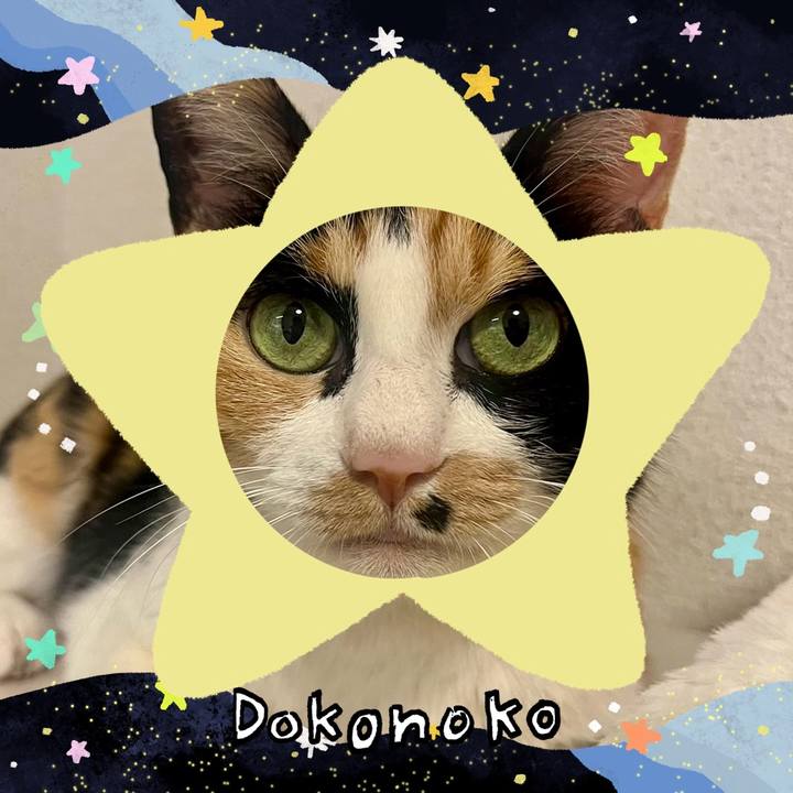 E6ca6f24 c462 4f8f a43b 032f0fce55f0 1720853421225