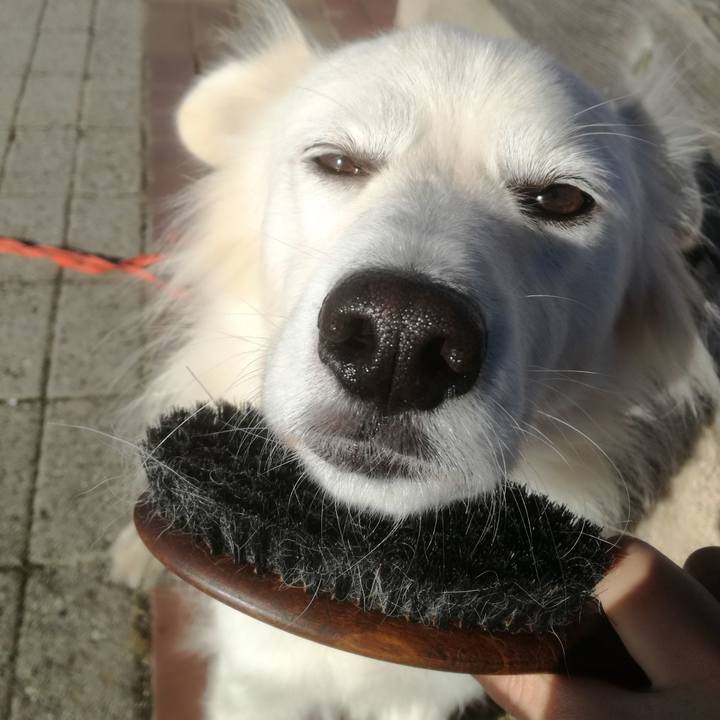 E6ca8524 6482 4c06 a069 cb18181a1f08 1512182093605