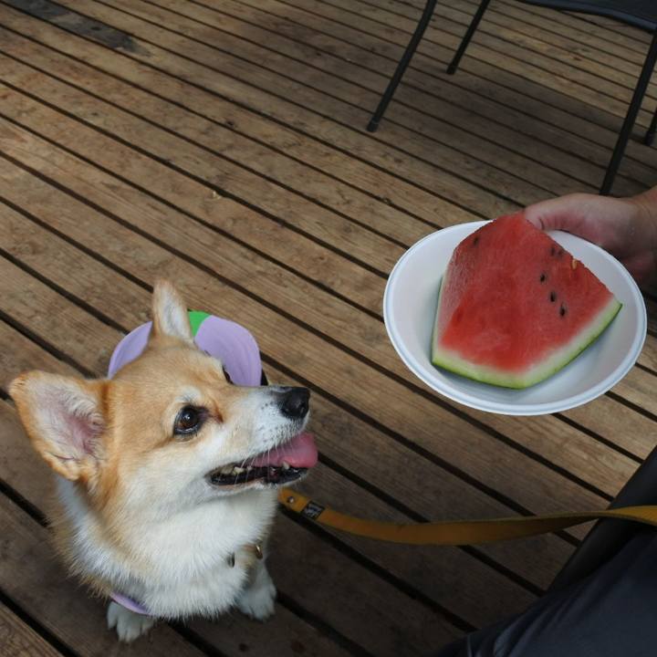 E6caa5e0 f512 4d2a 89bc f659622a5cf9 1690715573220