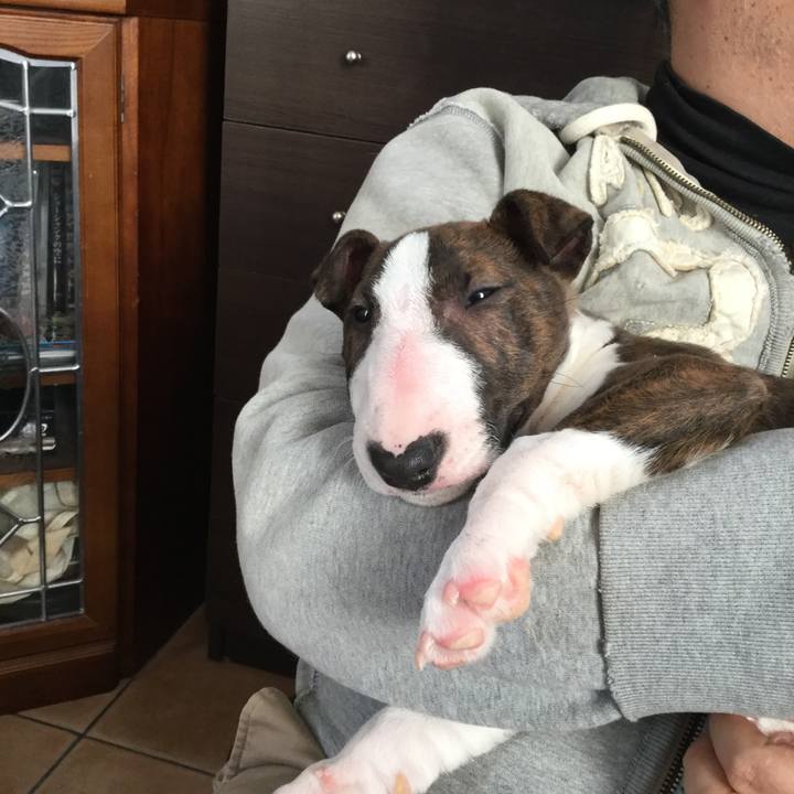 E6cad3a7 4848 4305 9dd7 0c6e65ddc154 1547434321600