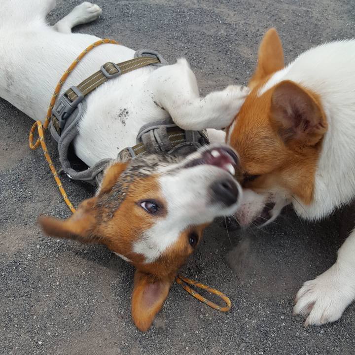 E6caeaea fb04 4f5b 9d2e 2244d1598346 1564885885681