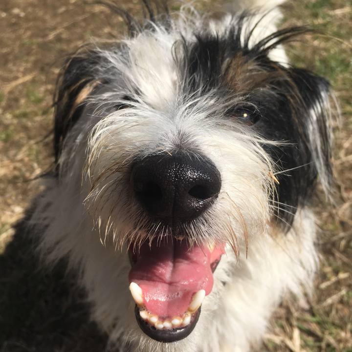 E6cb0197 afc2 4bf8 a0ad b8d1dfee285d 1520201437695