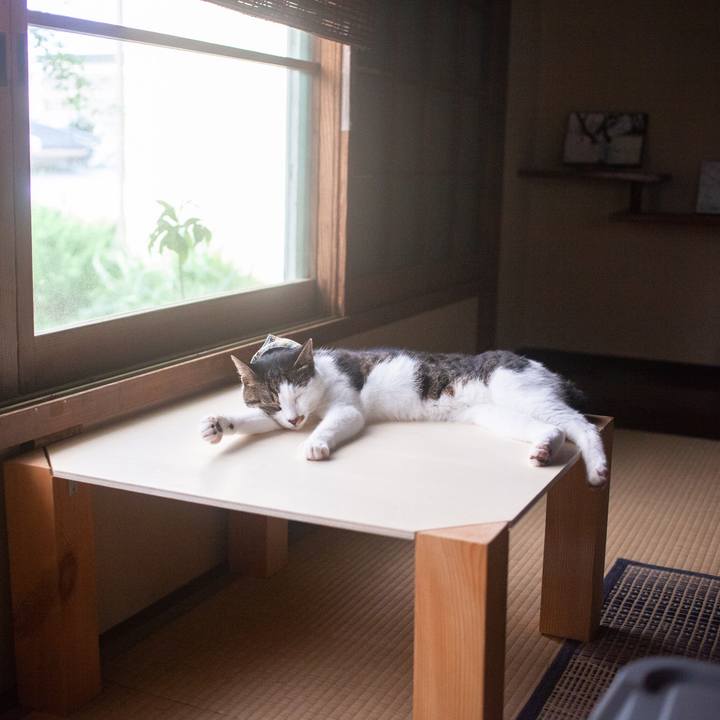 E6cb048b 6fa3 4eec 80ca 62997fa010f4 1570517470847