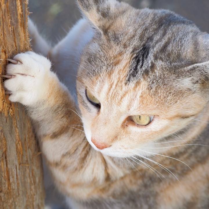 E6cb16f2 0960 48cb bf6e 8b7e99649d2d 1767006258173