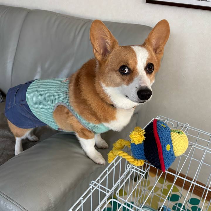 E6cb389c 6269 46cd a675 ec08e7dfdb47 1758754728613