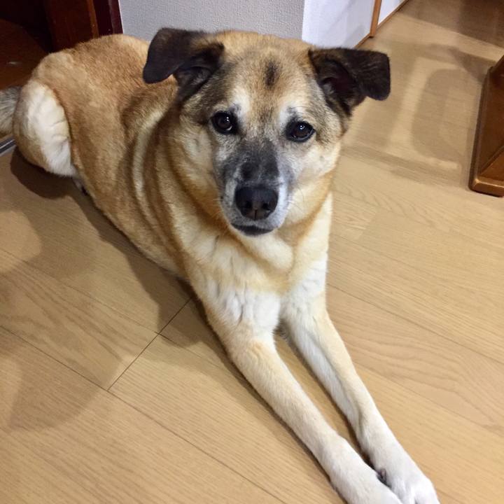 E6cb86e5 d0b5 4fe9 852a fb4b7d87dbd4 1528203807469