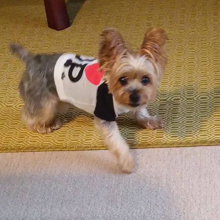 E6cb8d4a 8402 4934 8160 944ae3fd2e9f 1756298177829