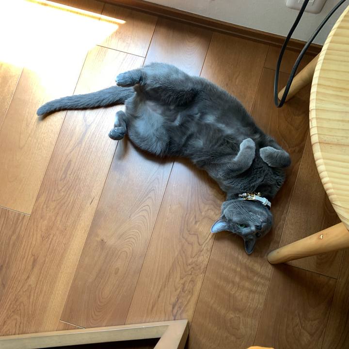 E6cba764 36e7 451e 847d 38c94bc1616e 1653189585557