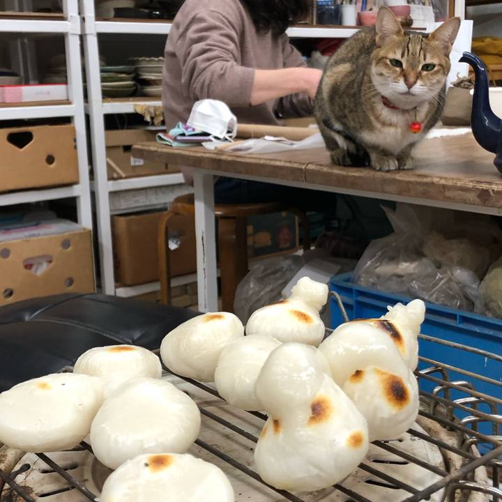 E6cbe47a 7ad5 4684 b9c4 361388c55a2a 1740145125221