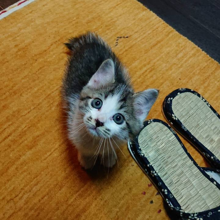 E6cc745b 127e 44a7 acca 9b7568639e22 1619266424746