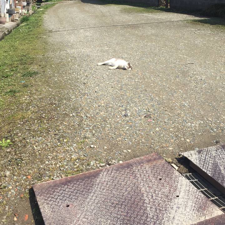 E6cc8fbc 7f2b 4208 8753 115e71072c8c 1549461321982