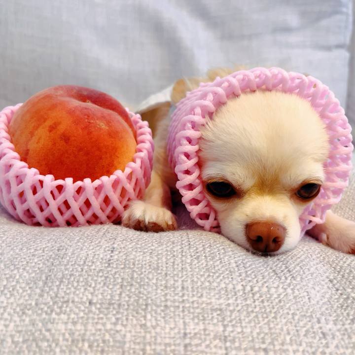 E6cca6c7 cbe7 4ac3 92e1 64df0fcf9aad 1691300818599