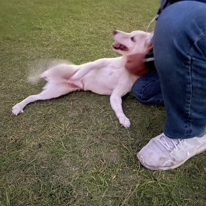 E6cd3073 80c6 4f57 9782 a69749400221 1665841254283