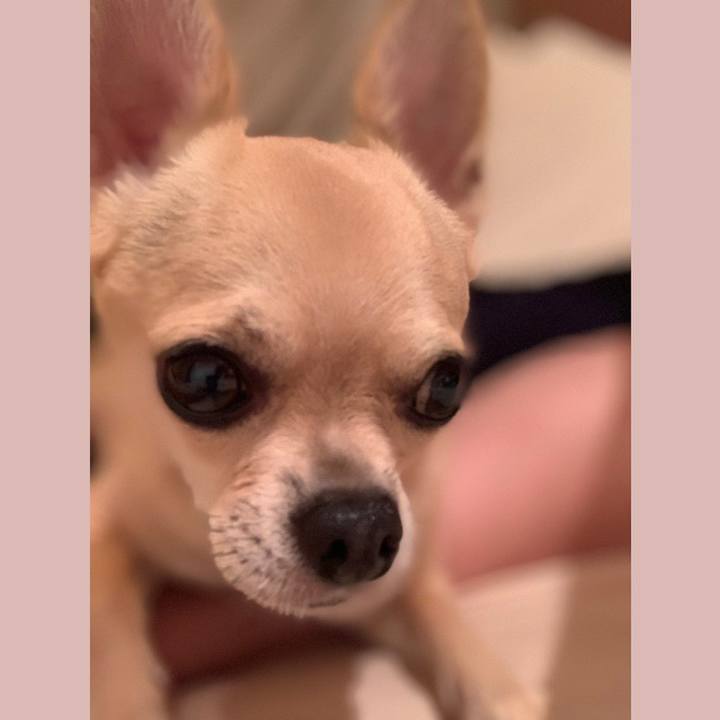 E6cd46f0 7050 4549 854d c549a8defd3e 1569848744514