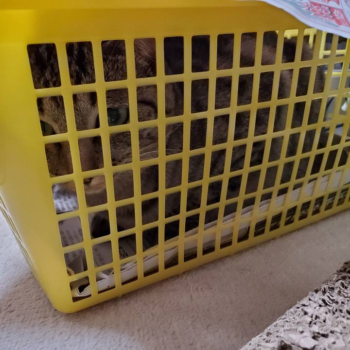 E6cdfcb6 83b6 4343 9eae 00386efce01f 1714198588355