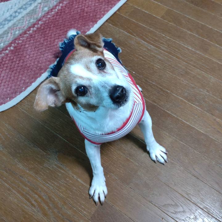 E6ce8cb2 506a 48b5 bf23 de39b96d6b0b 1762306818703