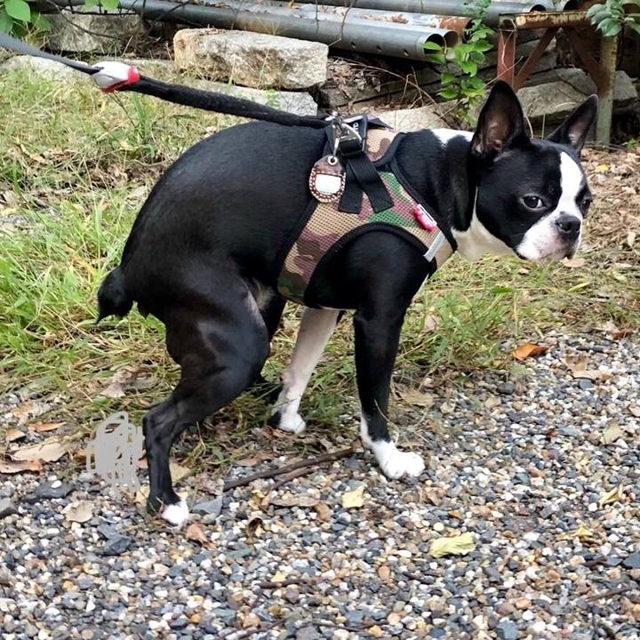 E6cea824 b62d 4ecf 9a68 e01b9984fb17 1539084155268