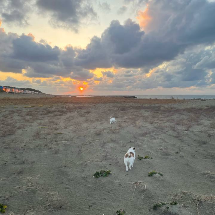 E6ceb6f3 68e1 4964 9379 3ad8e9892fc2 1764147376603