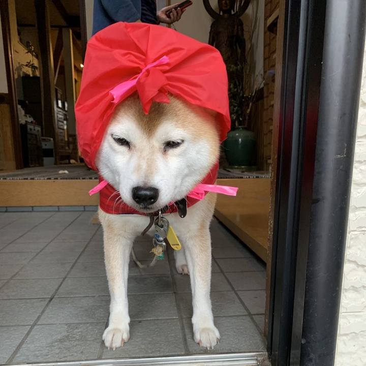 E6ceb8de e5ba 423b 8ea2 67473f5b2f76 1633066732812