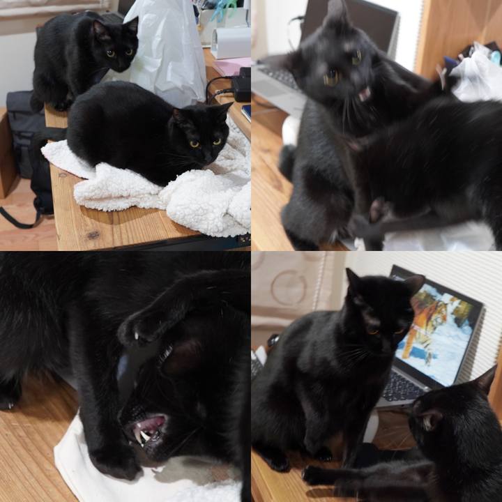 E6cee2fb a499 43ed 8c75 01ea32265aba 1583103121722