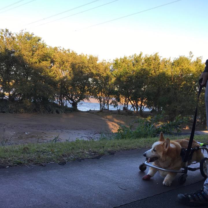 E6cf2ded 2fa1 4471 8e6f 586e7c7a564d 1570956567864