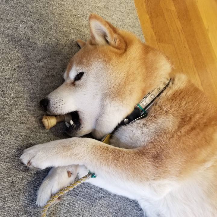 E6cf4658 ee01 4fce 8f04 c0d8c36e9f54 1619217710984