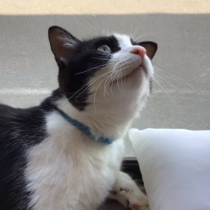 E6cf5adc 1d05 495a b7d2 13b6f3b34984 1751108075692