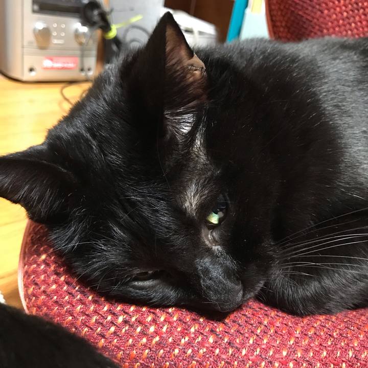 E6cfb15f 84af 4d96 8f48 98bc468f2df4 1540647365995