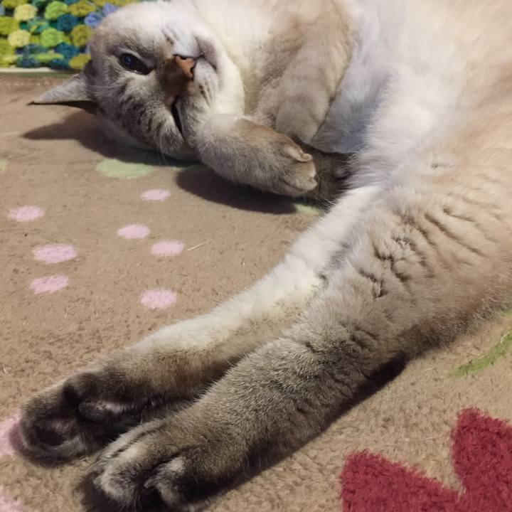 E6cfd128 a0f6 41c5 8e52 3474a93c5076 1574633400987