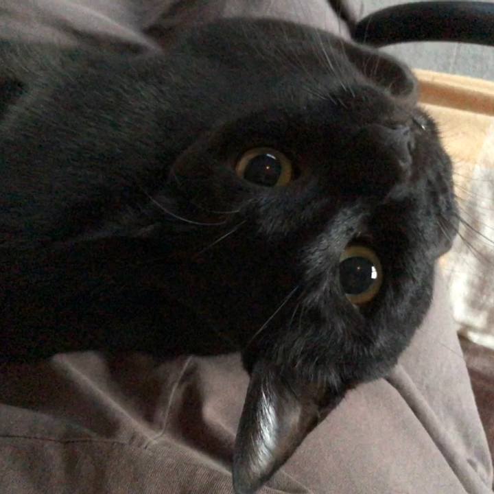 E6cffac8 3095 4489 9125 b4d4b57aefff 1682019979529